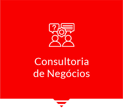img_pag_consultoria_negocios2